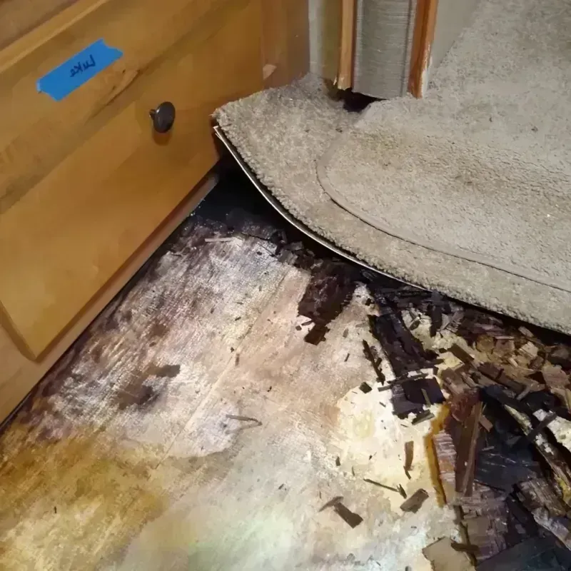 Best Wood Floor Water Damage Service in Webster, MA